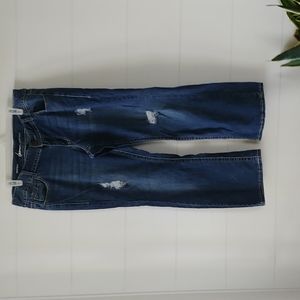 Lane Bryant Bootcut sz 16 p